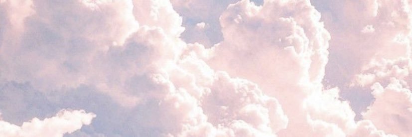 nesevgisi's profile banner image