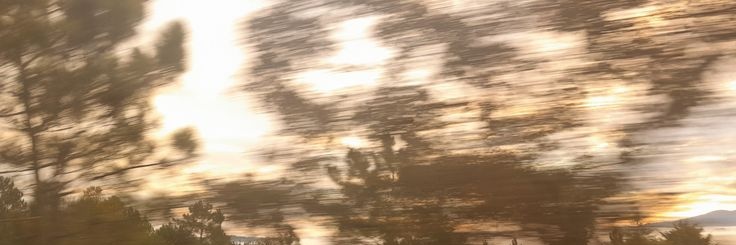 𝗔lice .ᐟ banner