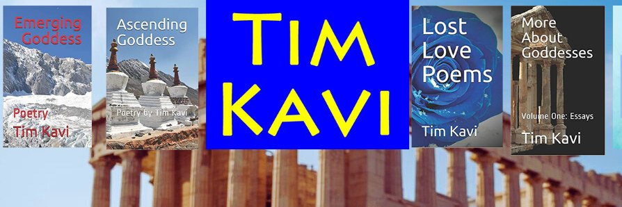 Tim Kavi banner