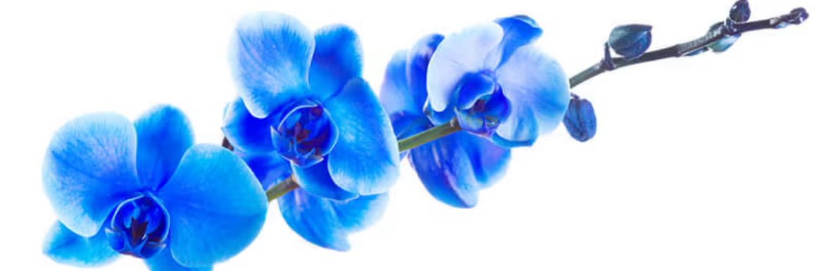 hoffm48375's profile banner image