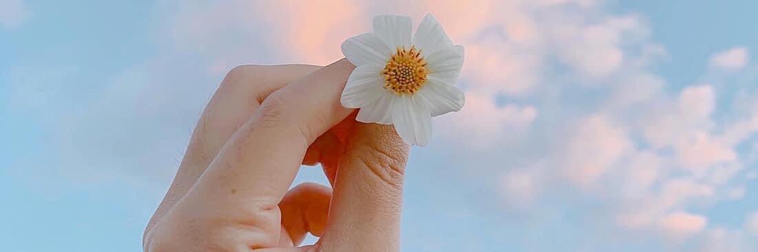 🌘 banner