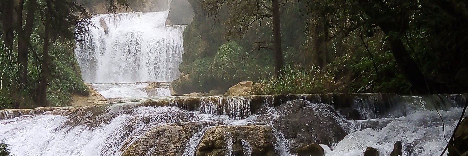 mfeldma's profile banner image
