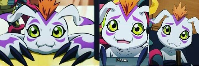 GOM banner