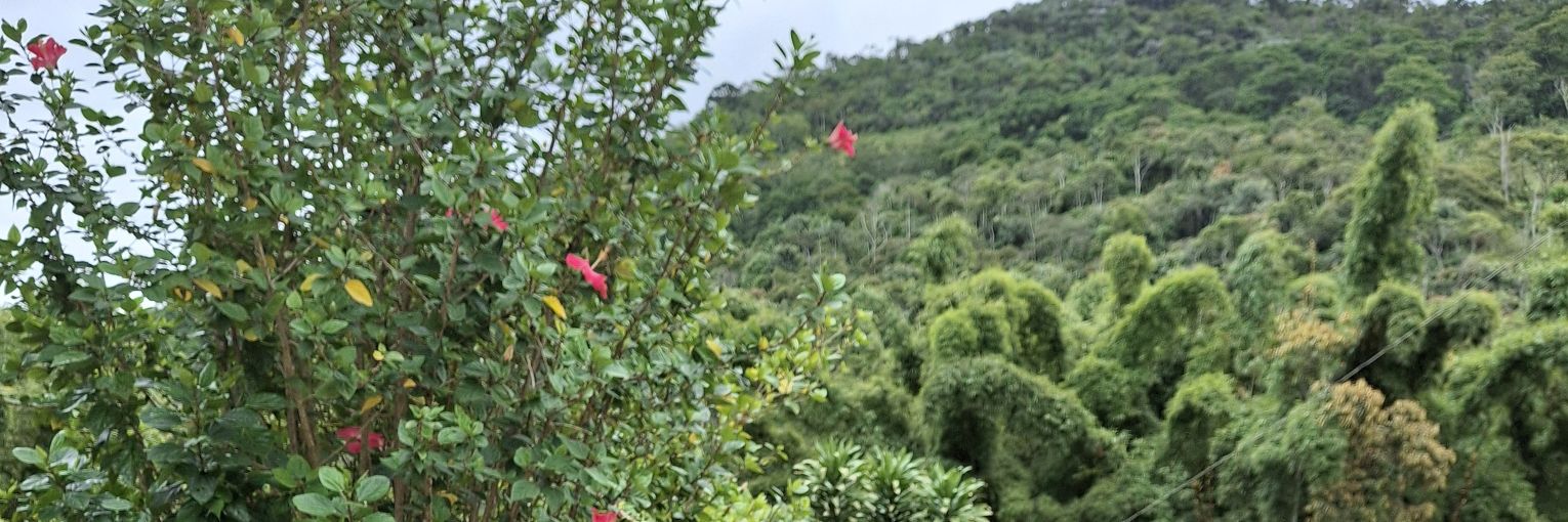 Glori nasc. 🫆 banner