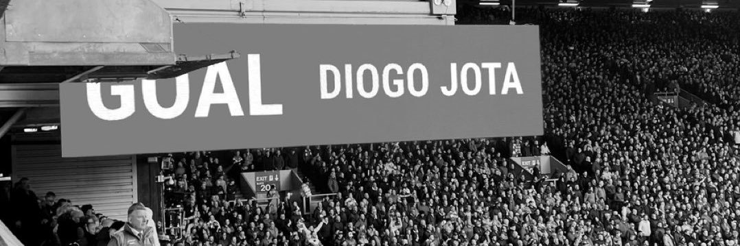 lewy banner