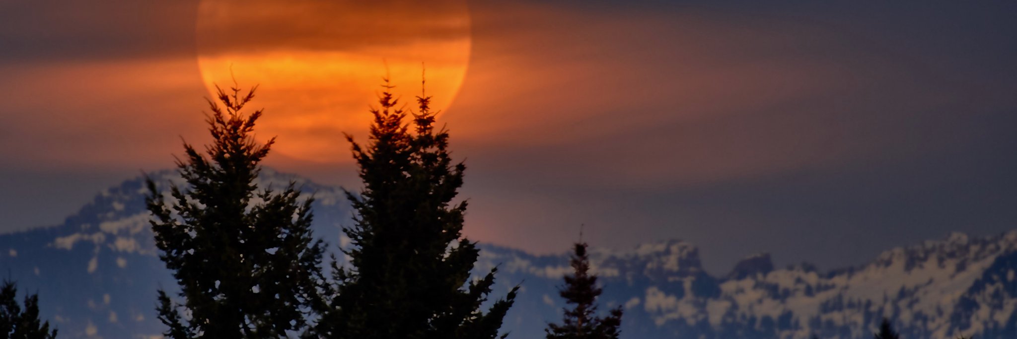 mcarper's profile banner image