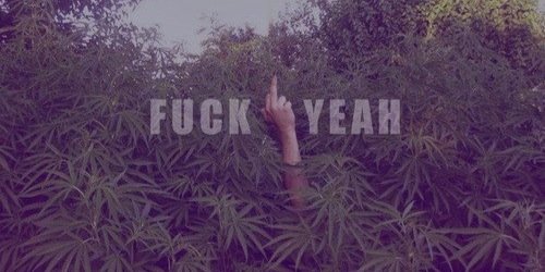NEW'S banner