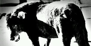 kitachiba666's profile banner image
