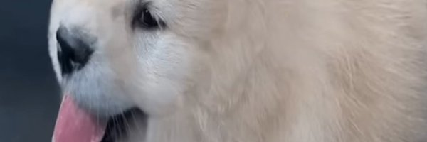 javivfx0 Profile Banner