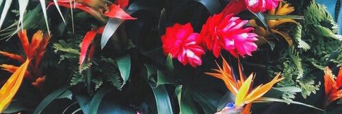 AndrejevaJuta's profile banner image