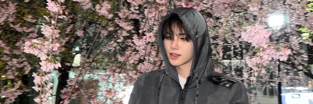 🐶🥔 logs banner