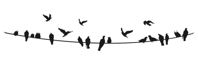 i_N23's profile banner image