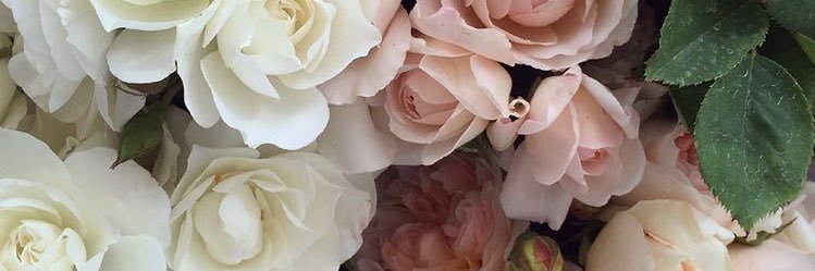 AyahRayala's profile banner image