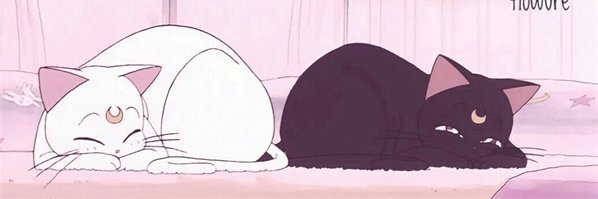 meltedstars's profile banner image