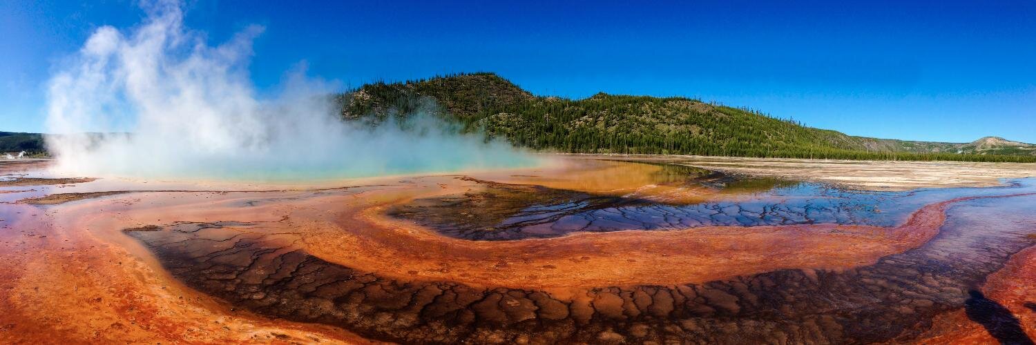 Daniel Steudler banner