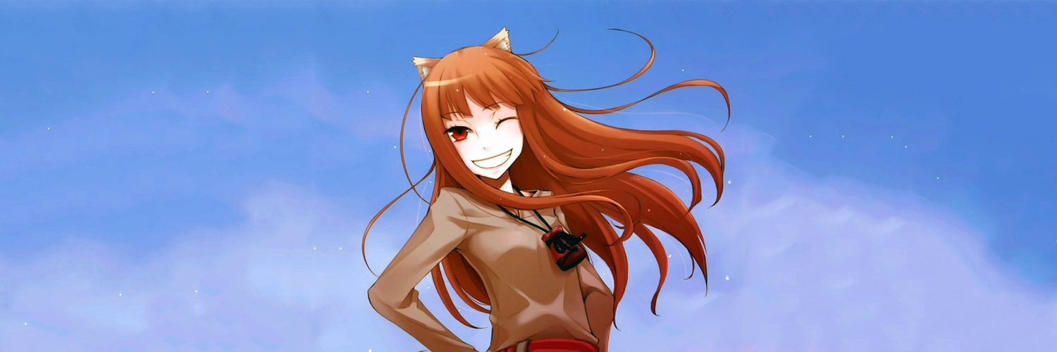 spyseewolf's profile banner image