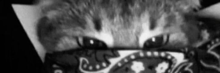 ROSS banner