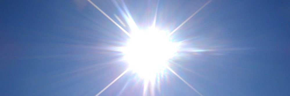 faggieluv365 banner