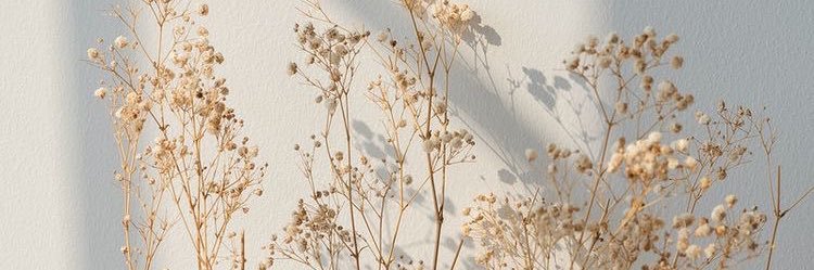 AliciaNewn's profile banner image
