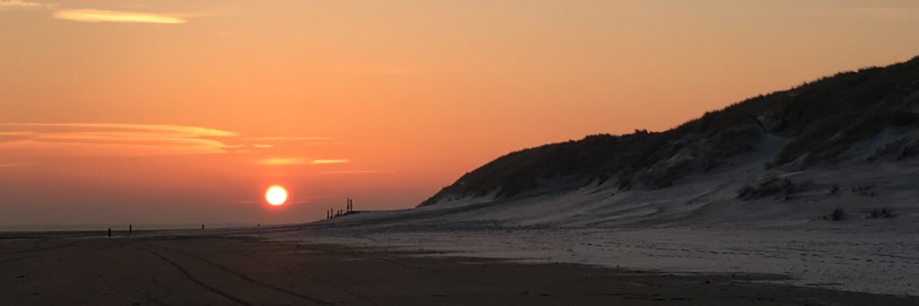 Caroline Koiter banner