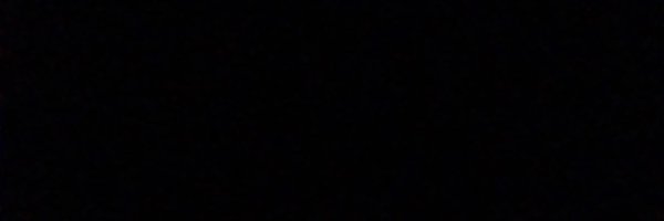 bunnidollin Profile Banner