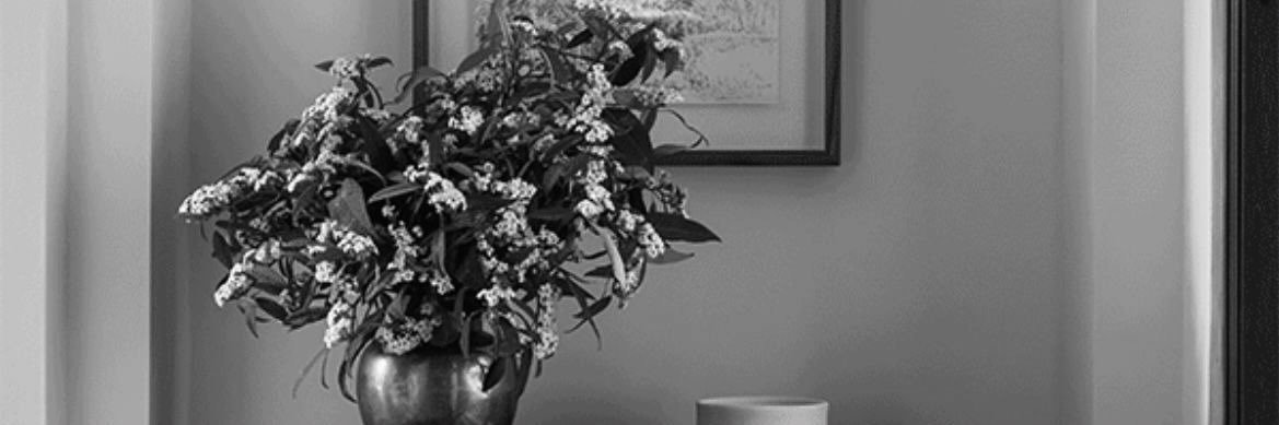 Catrisha Elaya. banner