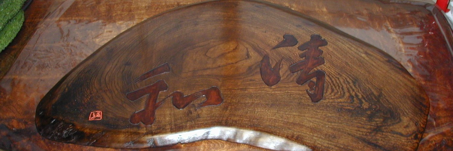 duoninsulo's profile banner image