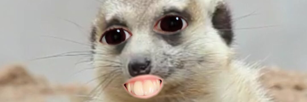 ge_ee_eg's profile banner image