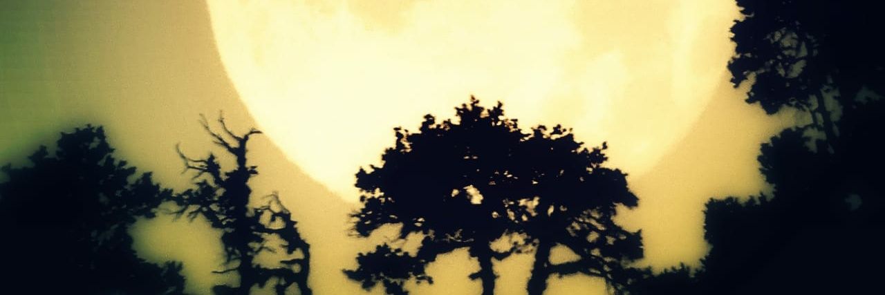 SushilJNU's profile banner image