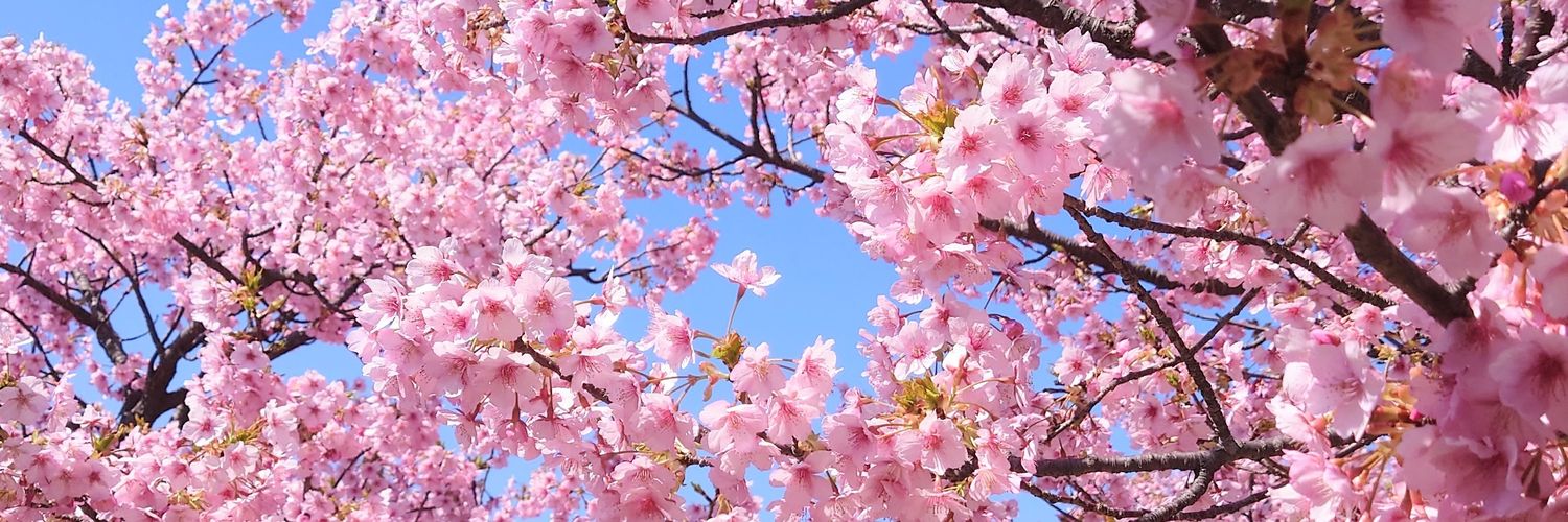 amami_minato's profile banner image