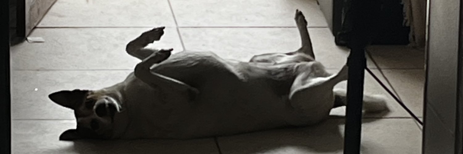 Astrid banner