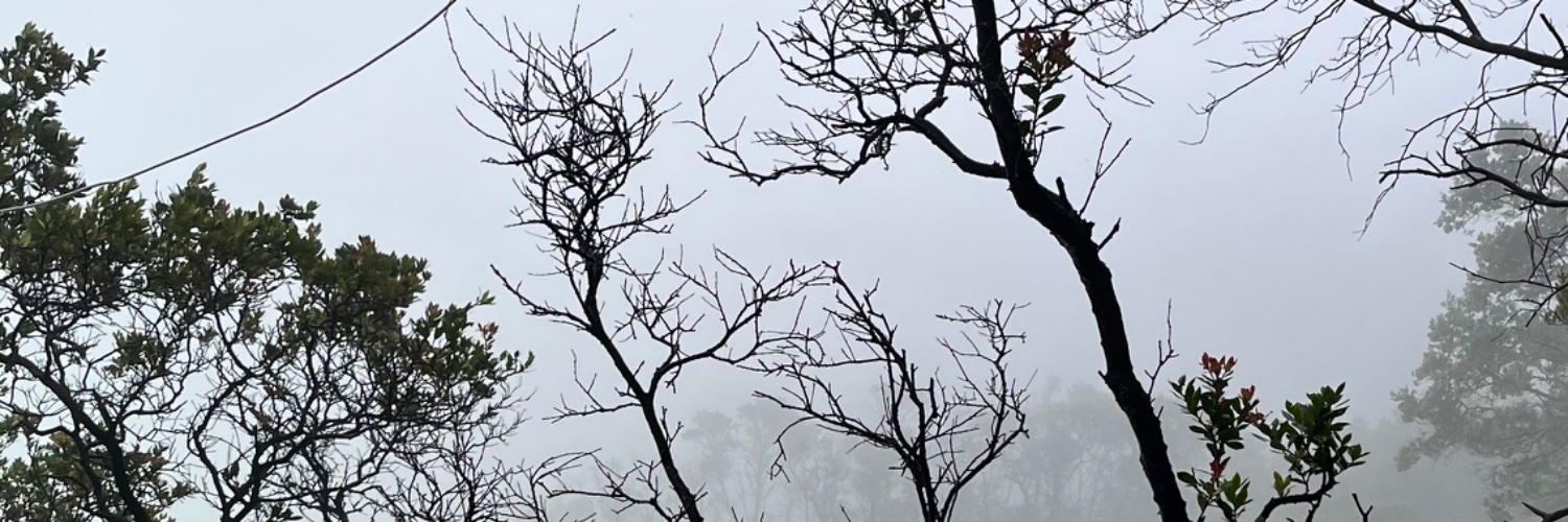 kya!! 🐮⛓️ kangen hee banner