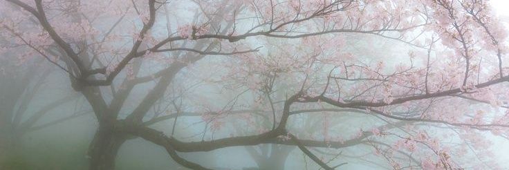 efectoodoppler's profile banner image