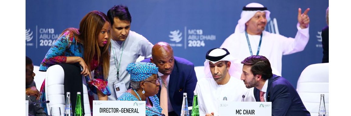 Stephen Fevrier banner