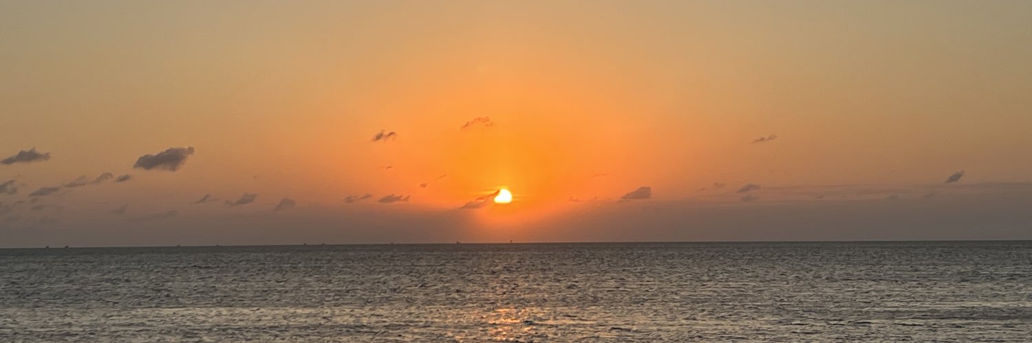 briananson's profile banner image