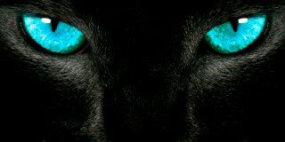 Puta_Awesome's profile banner image
