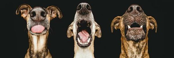 BulletLS2 Profile Banner