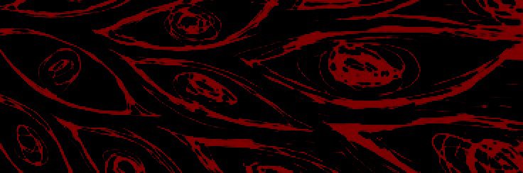 ana ⋆'s banner