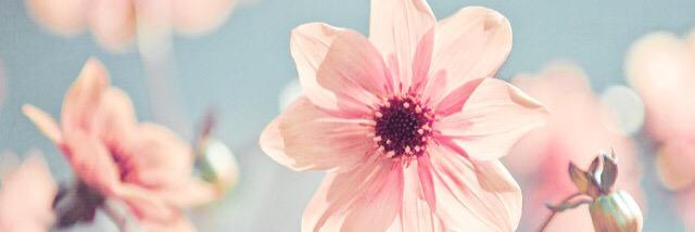 Follow2H's profile banner image