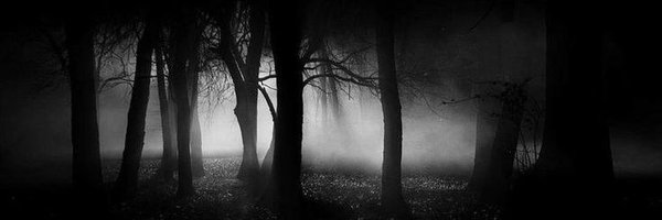 accioeleste Profile Banner