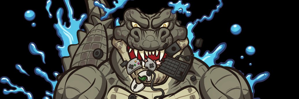 skillz1333's profile banner image