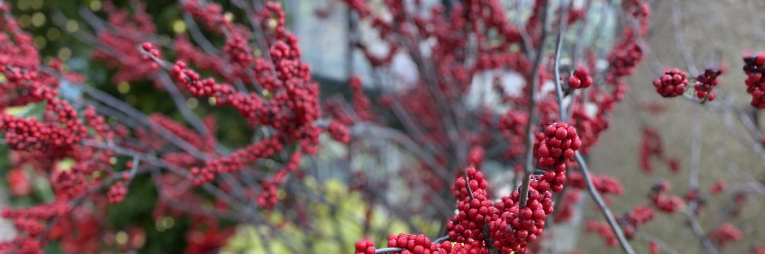 Joycemwhite's profile banner image