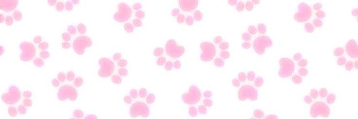 ִֶָ. 🫐 ..𓂃A𝚐ɴ𐌄s` ִֶָ🪽་༘࿐ banner