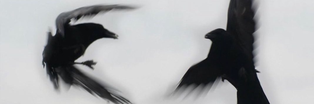 xZelthar's profile banner image