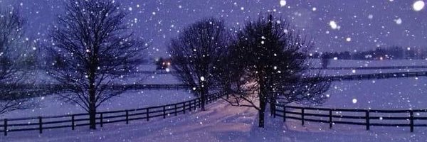 Lylylimia Profile Banner