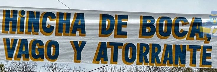 Pinkman Ricotero banner