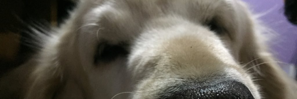 chantaal_s's profile banner image
