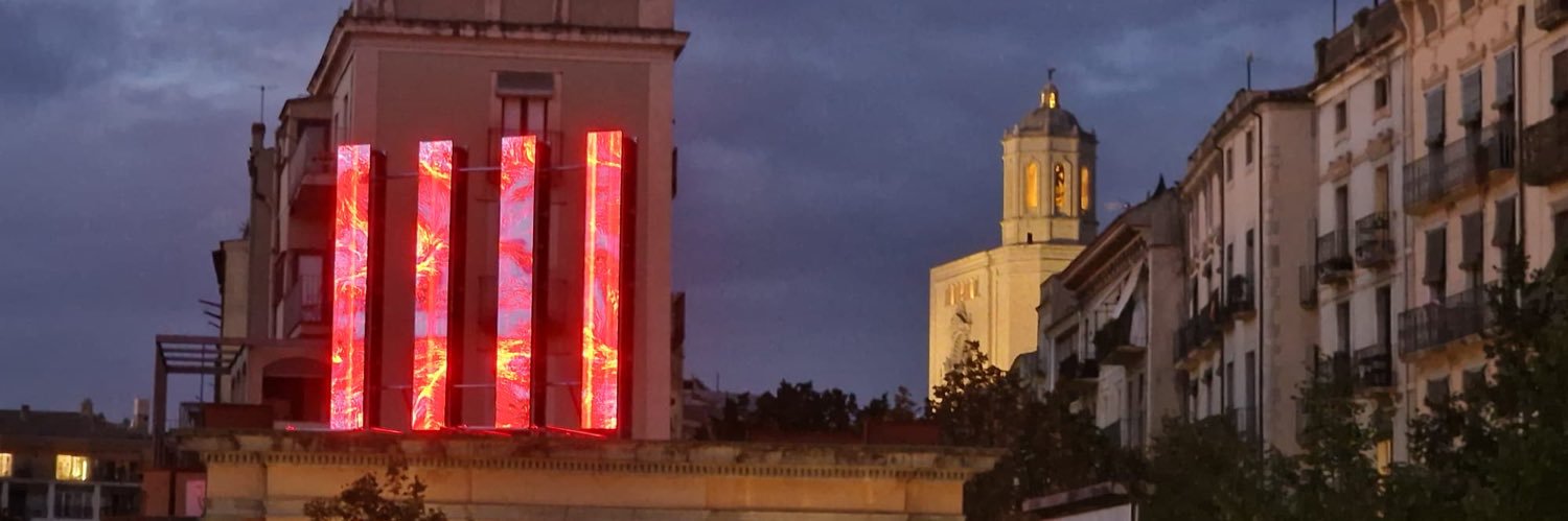 Gemma Geis i Carreras 🎗 banner