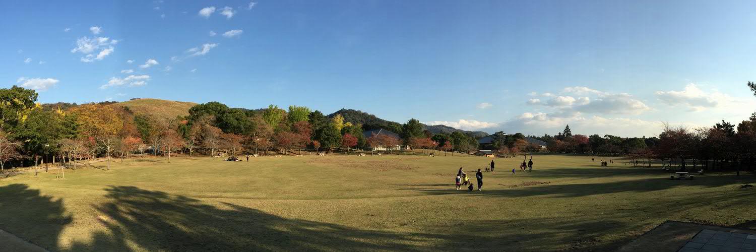 矢牛 banner