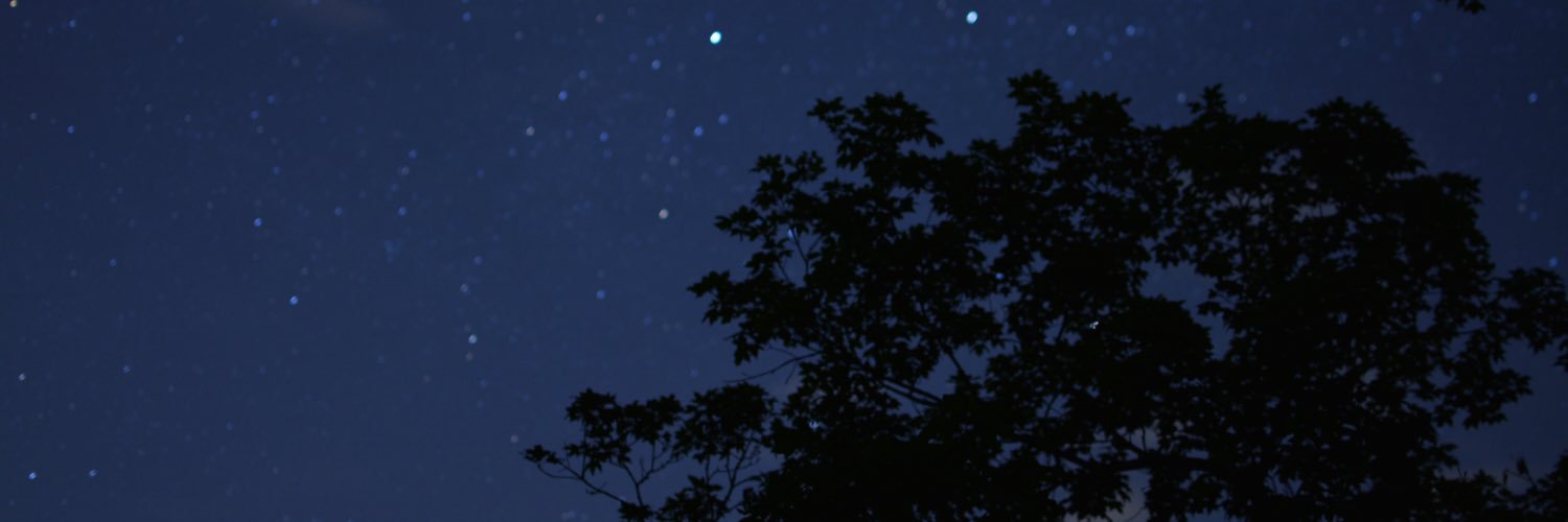 beccabellewells's profile banner image